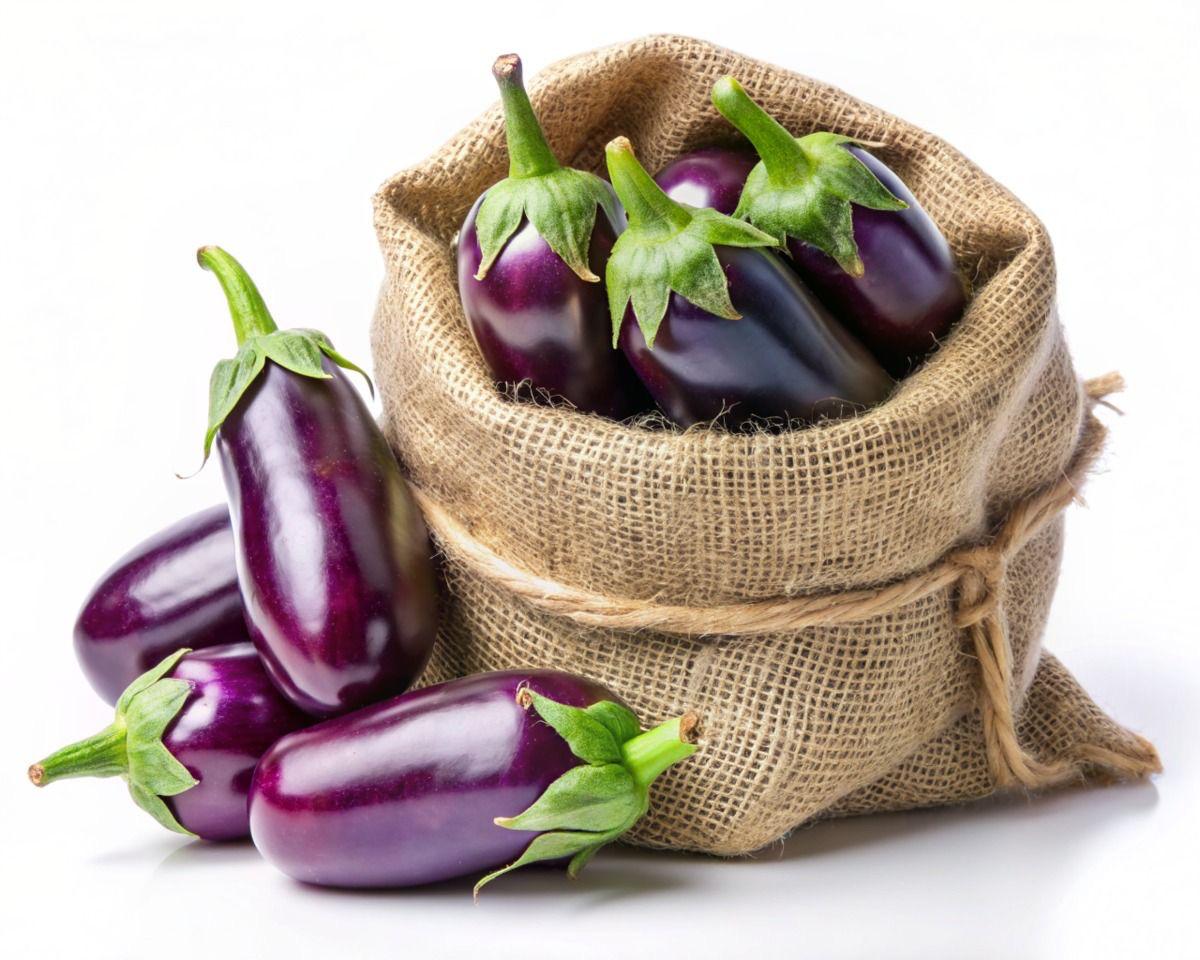 Fresh Brinjal